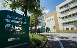 CUNG CẤP GẠCH ARGELITH VÀ KEO CHÀ RON ARDEX EG 15 DỰ ÁN NHÀ MÁY BIA CARLSBERG HUẾ