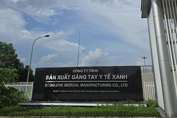 NHÀ MÁY GĂNG TAY Y TẾ XANH